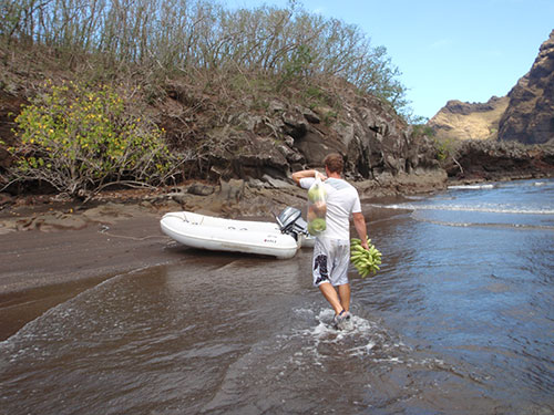 Coming home from making fruit purchases