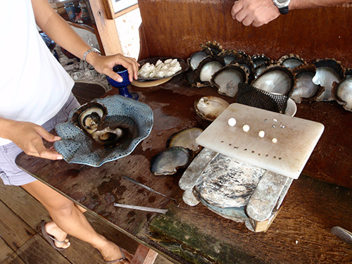 Pearl farming tools Pearl farming tools