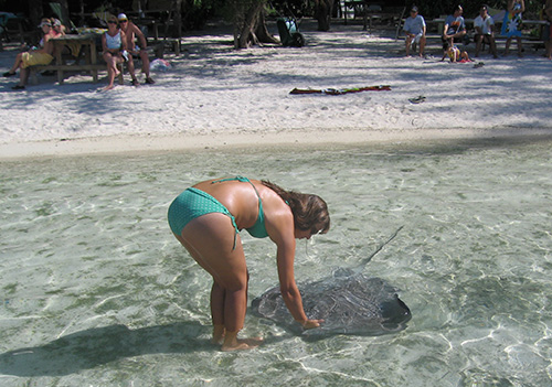 Lara makes friends with the local wildlife