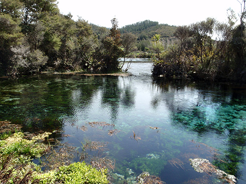 Dancing Sands Spring at Te Waikoropupu