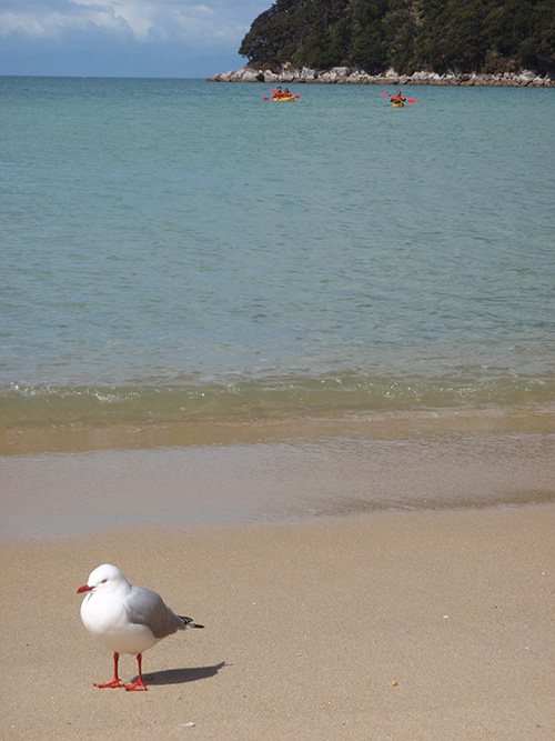 Bark Bay, Abel Tasman Bark Bay, Abel Tasman