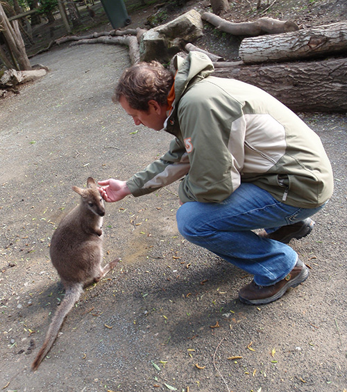 Jason gives a Willowbank wallaby a good scratch