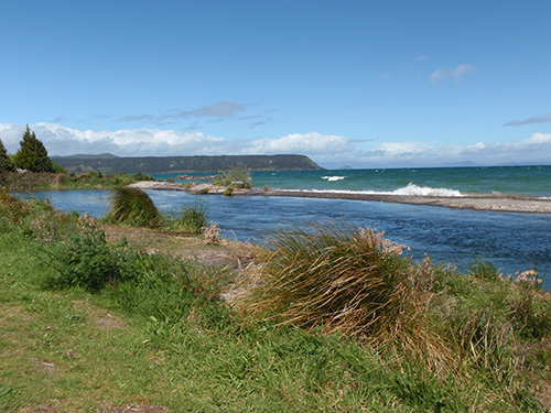 Waitahanui River as it flows into Lake Taupo