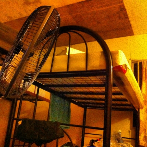 The better dorm Mabul Backpackers dorm