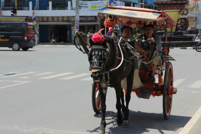 Bendi – a pony-drawn taxi